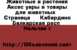 Животные и растения Аксесcуары и товары для животных - Страница 2 . Кабардино-Балкарская респ.,Нальчик г.